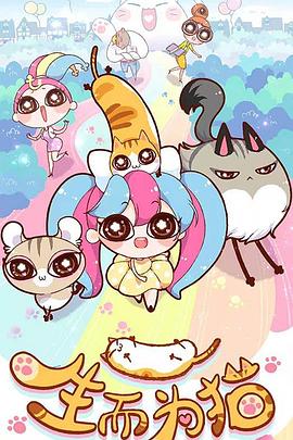 宝坻seo优化公司